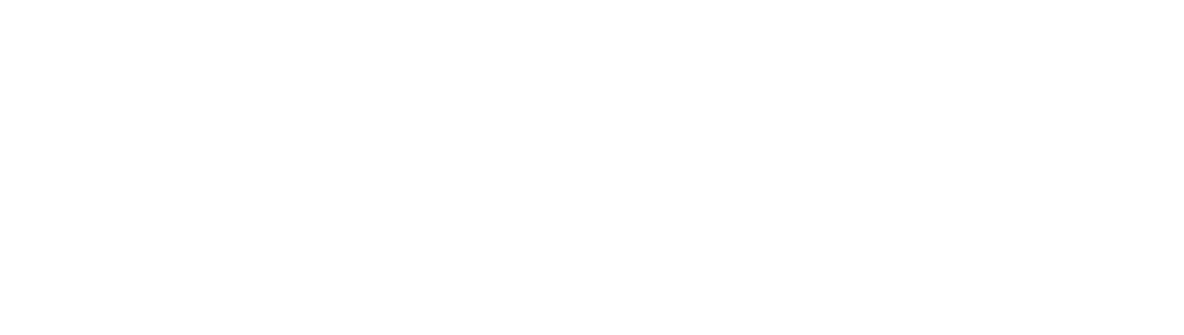Codeandlenz